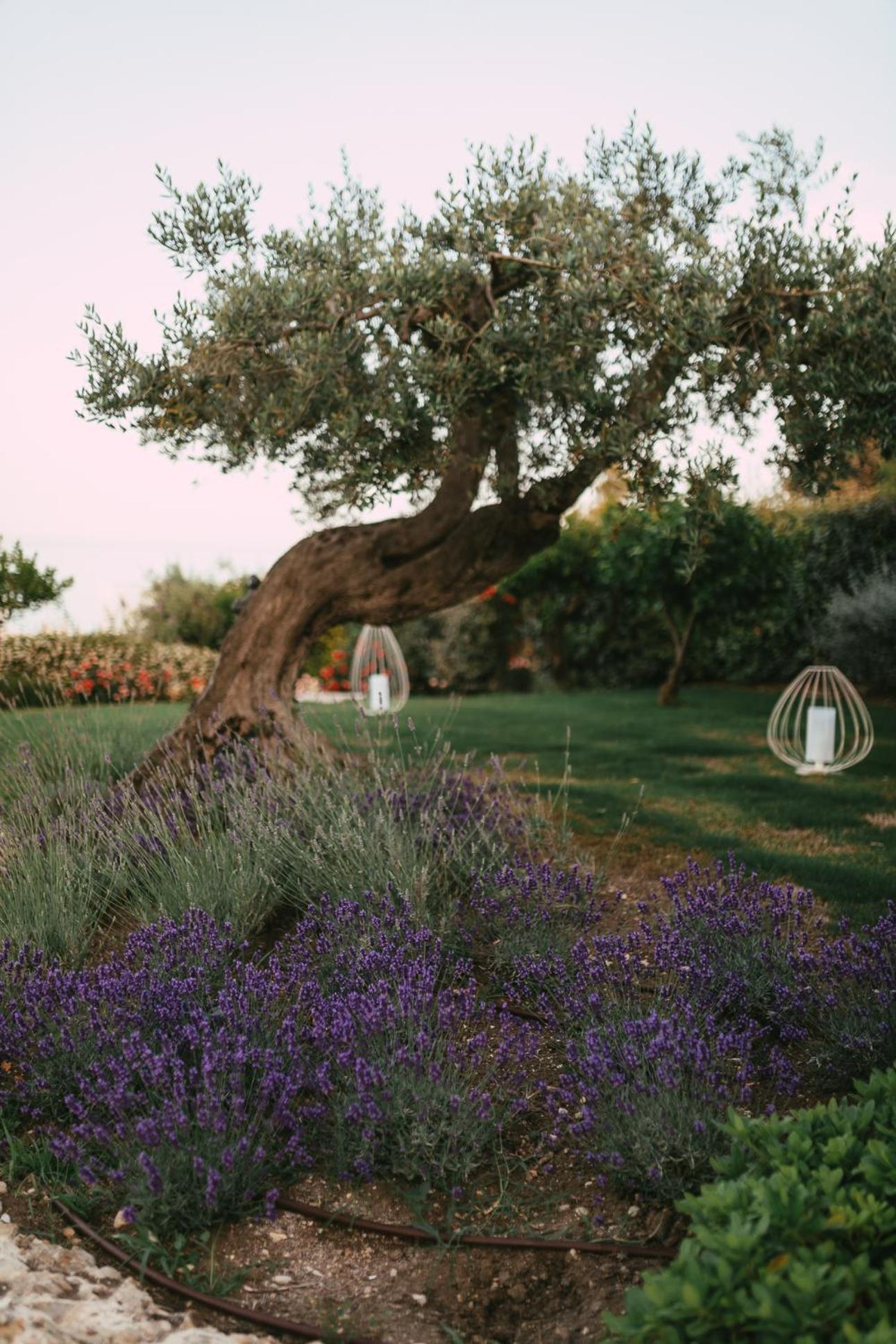 Baia Delphis Resort 바스토 외부 사진
