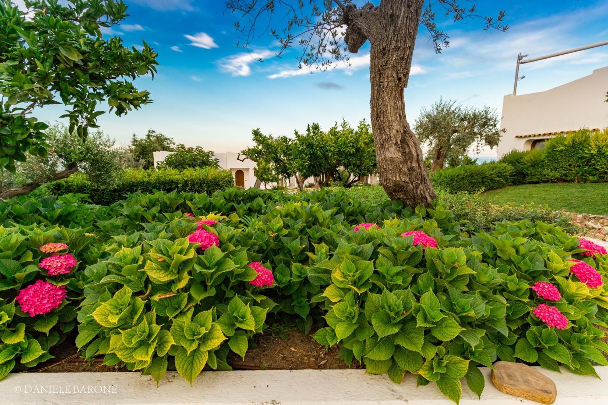 Baia Delphis Resort 바스토 외부 사진